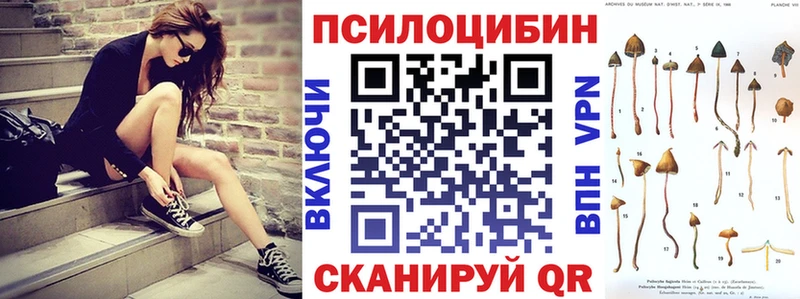 дарк нет клад  кракен зеркало  Качканар  Галлюциногенные грибы прущие грибы 